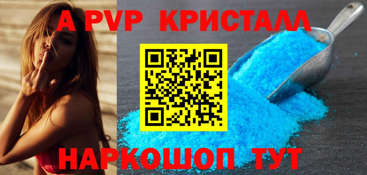 A-PVP СК Новокузнецк