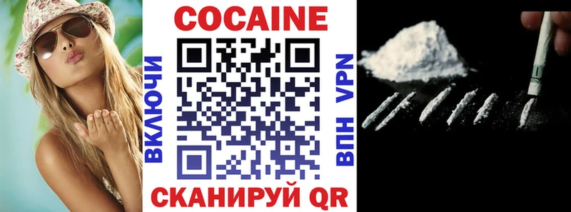 купить наркотики сайты  площадка наркотические препараты  Кокаин Fish Scale  Новокузнецк 