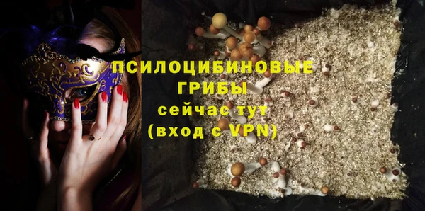 2c-b Алзамай