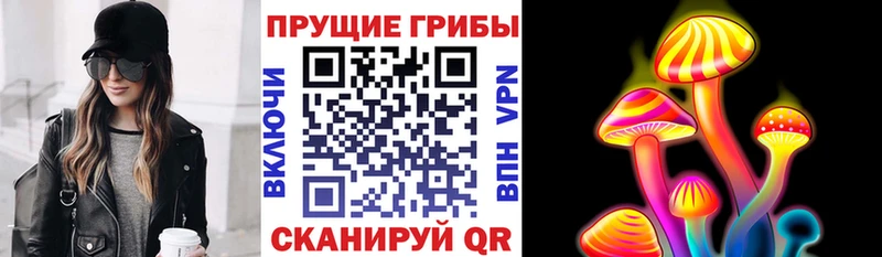 Псилоцибиновые грибы Psilocybine cubensis  MEGA ССЫЛКА  Новокузнецк  купить наркотики цена 