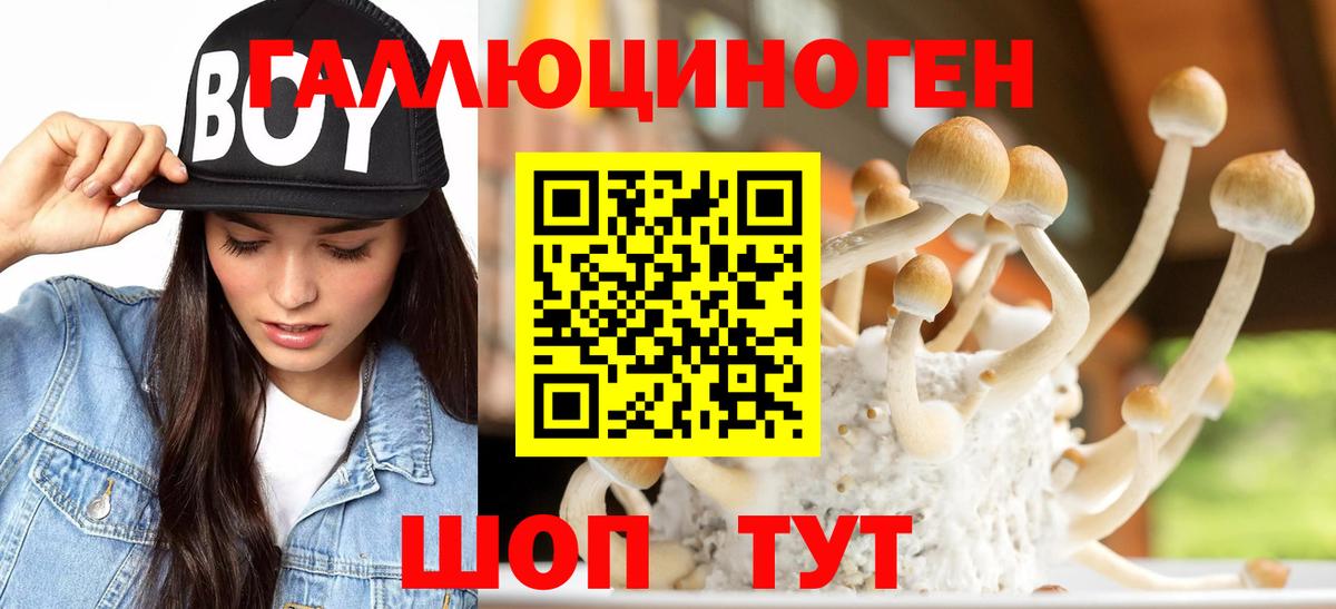 Псилоцибиновые грибы прущие грибы Новокузнецк