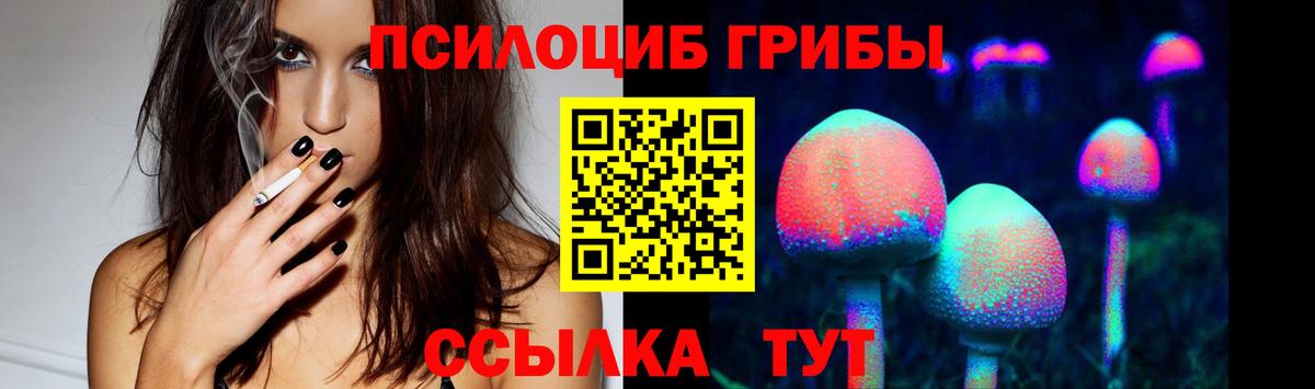 Новокузнецк  Галлюциногенные грибы мицелий  Вход с VPN 